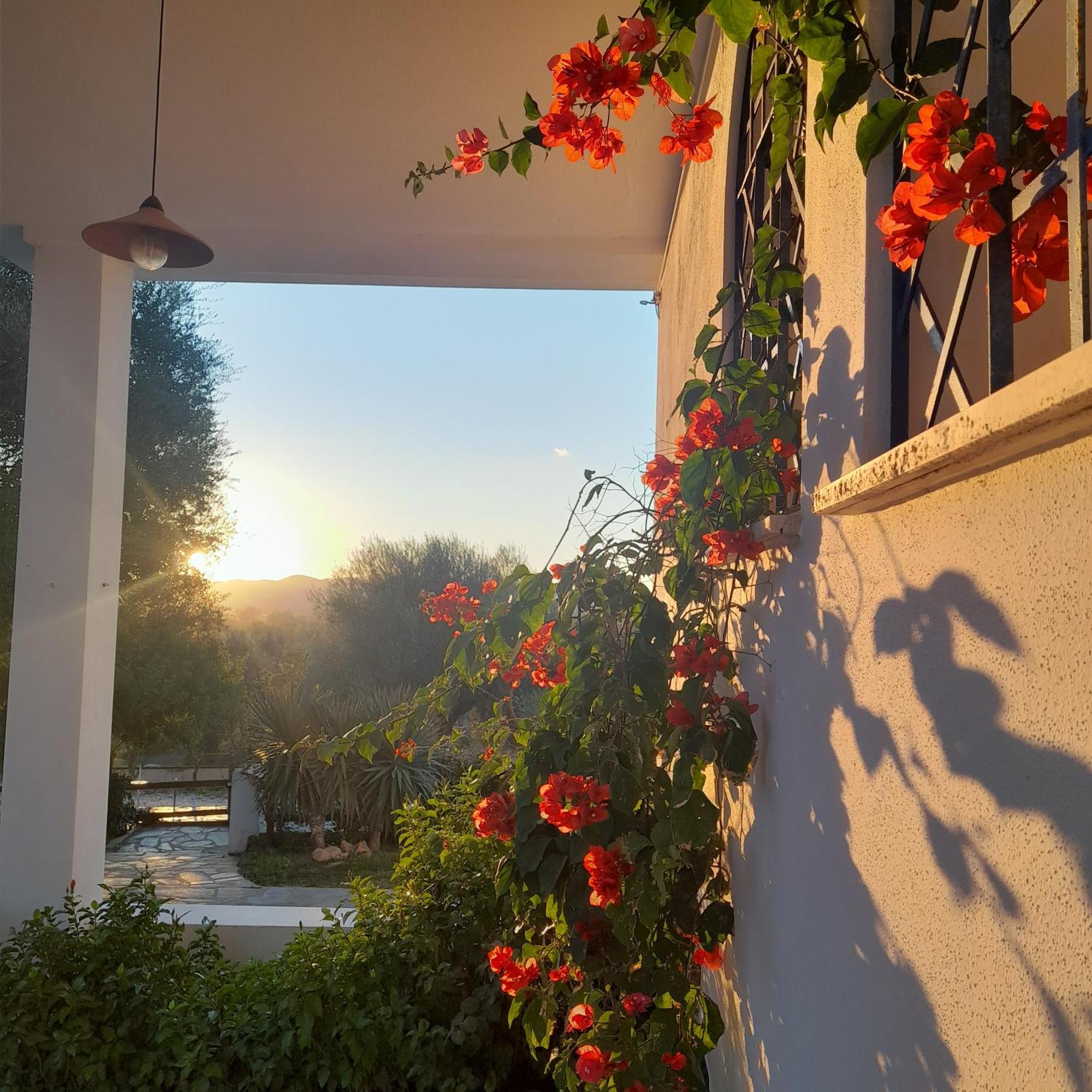 Agriturismo Palas De Serra Country Resort Onifai Eksteriør billede